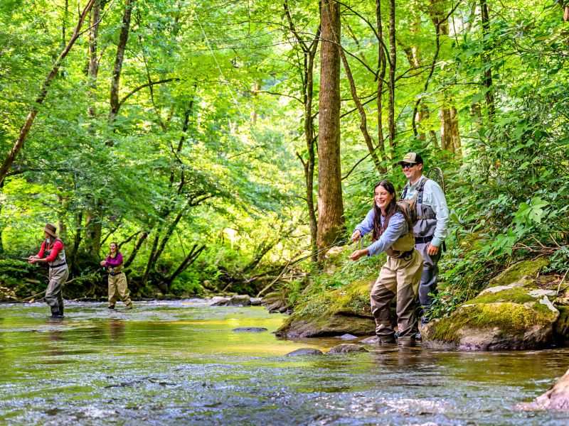 Fly Fishing For Trout Near Highlands & Cashiers, NC | VisitNC.com